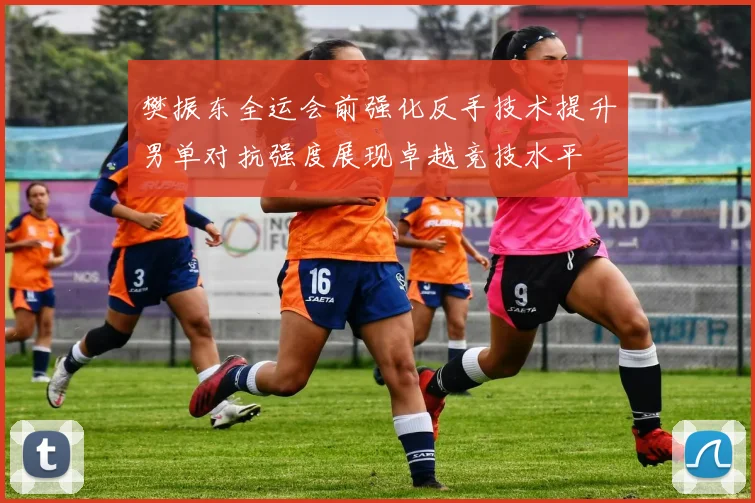樊振东全运会前强化反手技术提升男单对抗强度展现卓越竞技水平